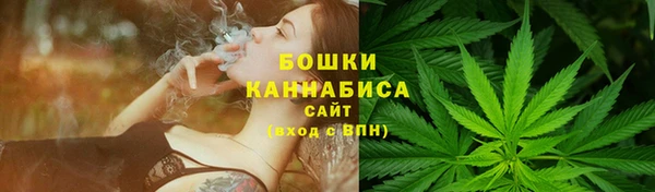 молекула духа Белоозёрский