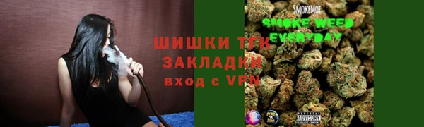 молекула духа Белоозёрский
