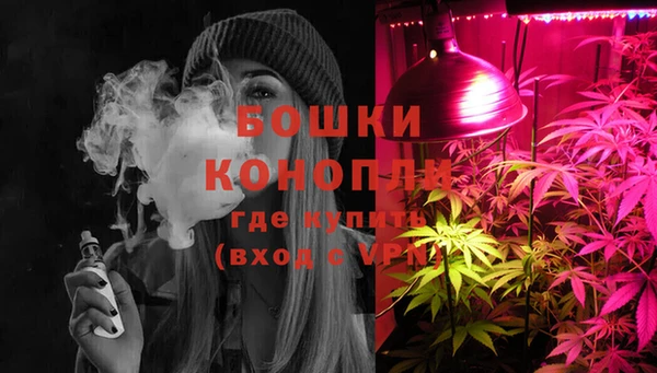 молекула духа Белоозёрский