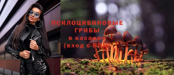 молекула духа Белоозёрский