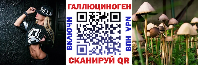 Галлюциногенные грибы MAGIC MUSHROOMS  магазин  наркотиков  кракен онион  Нелидово 